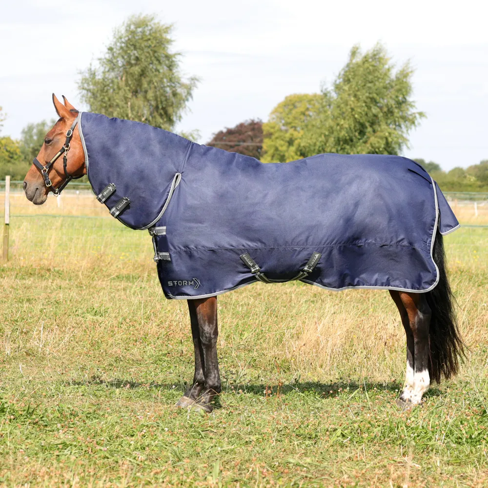 StormX Empra 100g Combo Turnout Rug 4'6 to 7'3