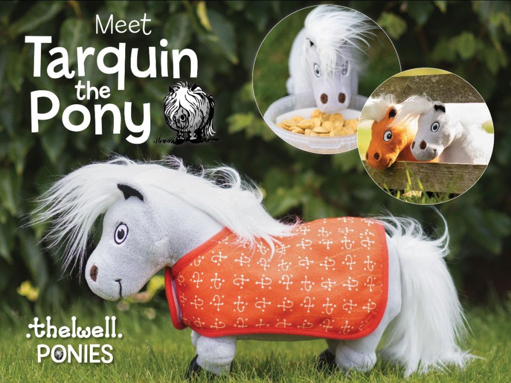 Hy Equestrian Thelwell Ponies - Tarquin the Pony