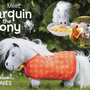 Hy Equestrian Thelwell Ponies - Tarquin the Pony