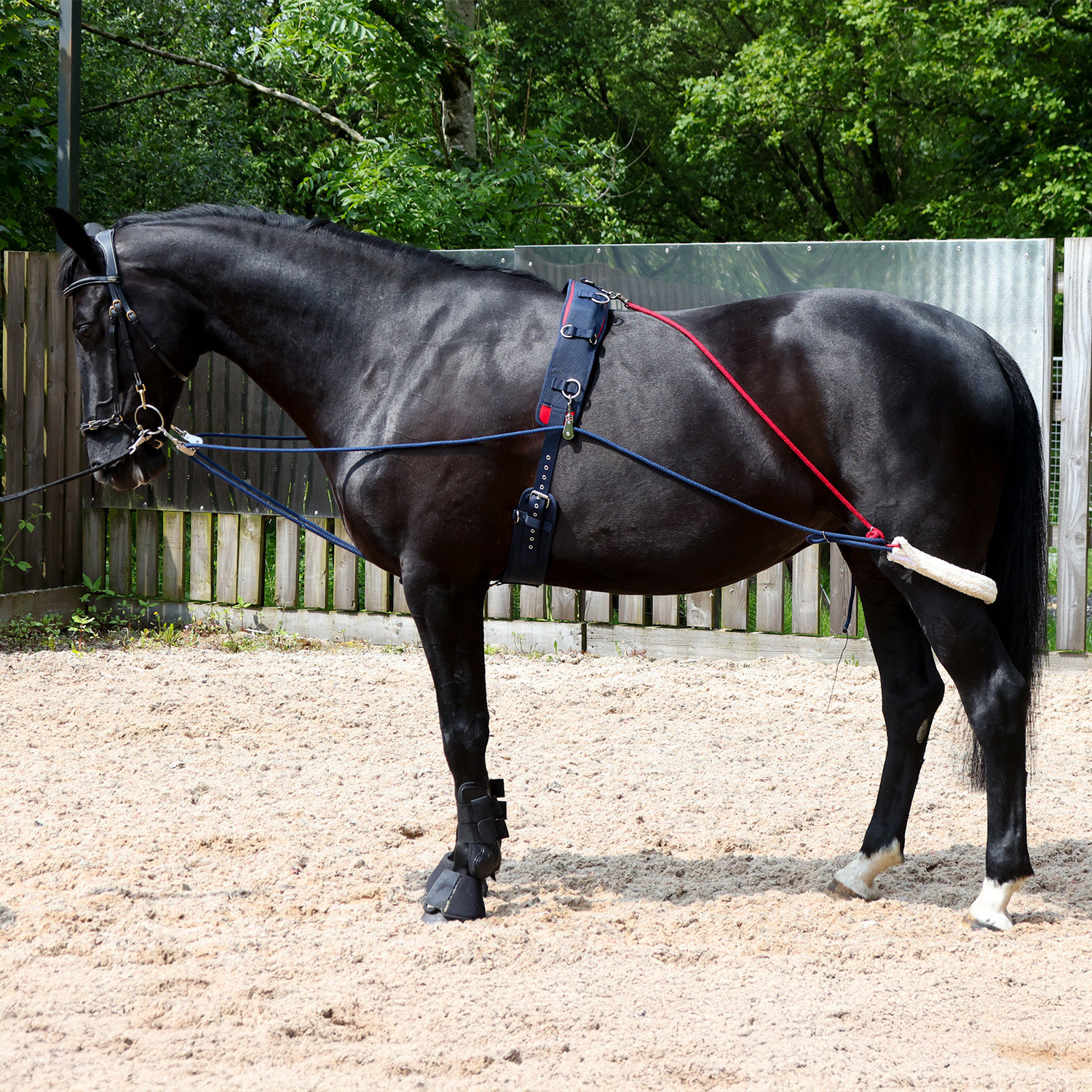 The John Whitaker Training System - Image 3