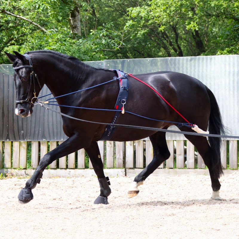 The John Whitaker Training System