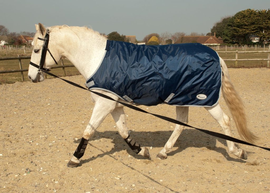 Rhinegold Horse Walker/Lunge Rug 5'0 to 6'9