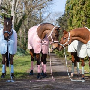 Rhinegold Sorbet Padded Headcollar And Luxe Leadrope Set Sizes Mini Shetland to X Full