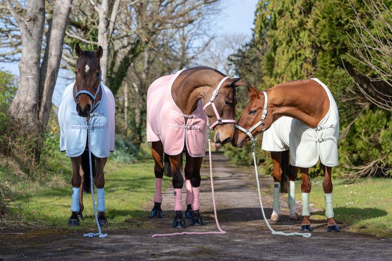 Rhinegold Sorbet Padded Headcollar And Luxe Leadrope Set Sizes Mini Shetland to X Full