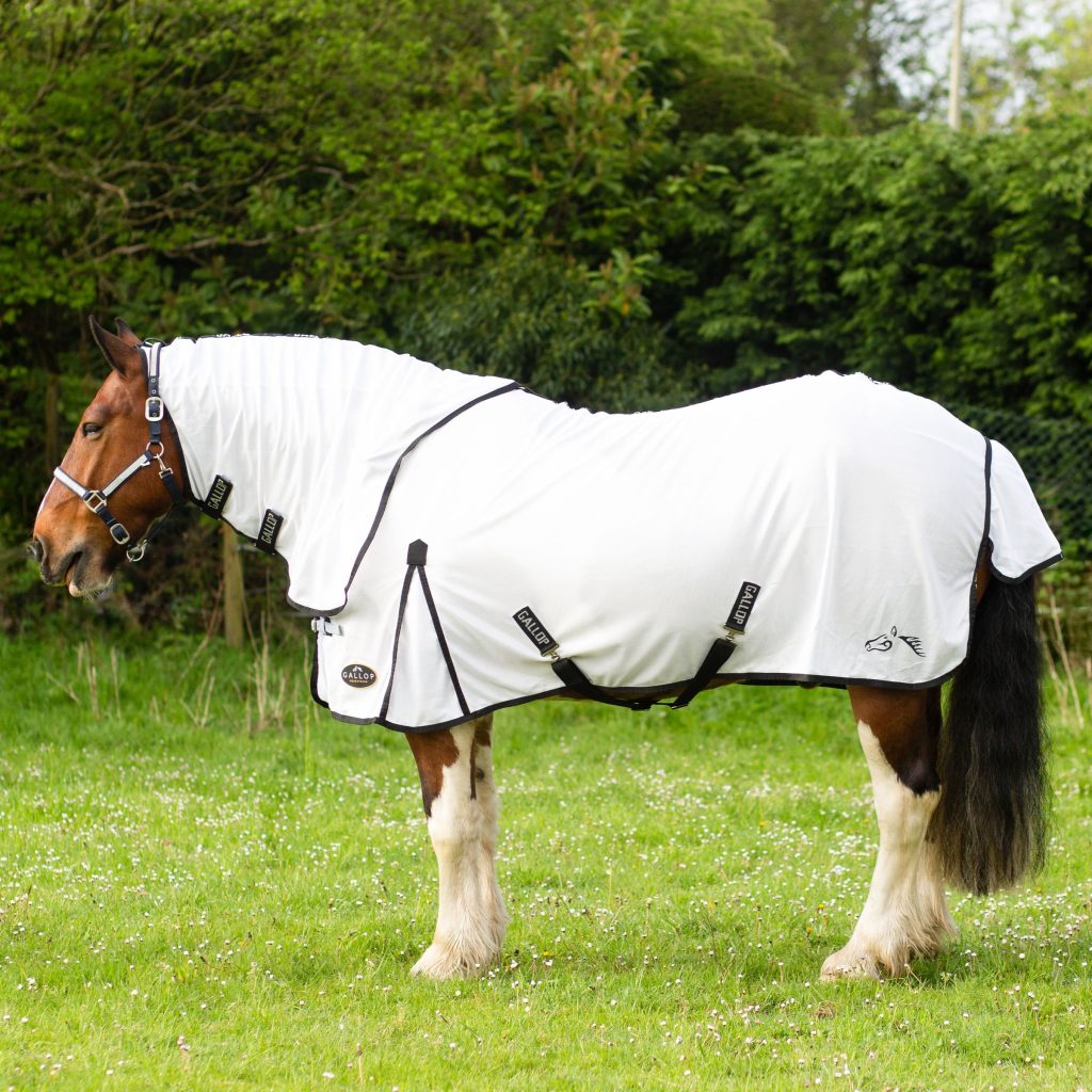 GALLOP Dual Fly Rug & Neck Set Sizes 5'6 to 7'0