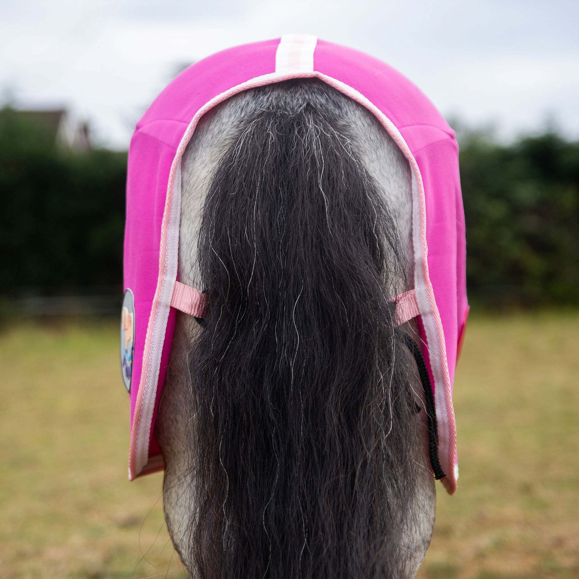 Gallop Pink Jersey Cooler Rug Sizes 3'6 to 7'0 - Image 5