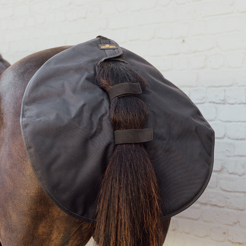 Kentucky Horsewear Quarter Guard - Image 2