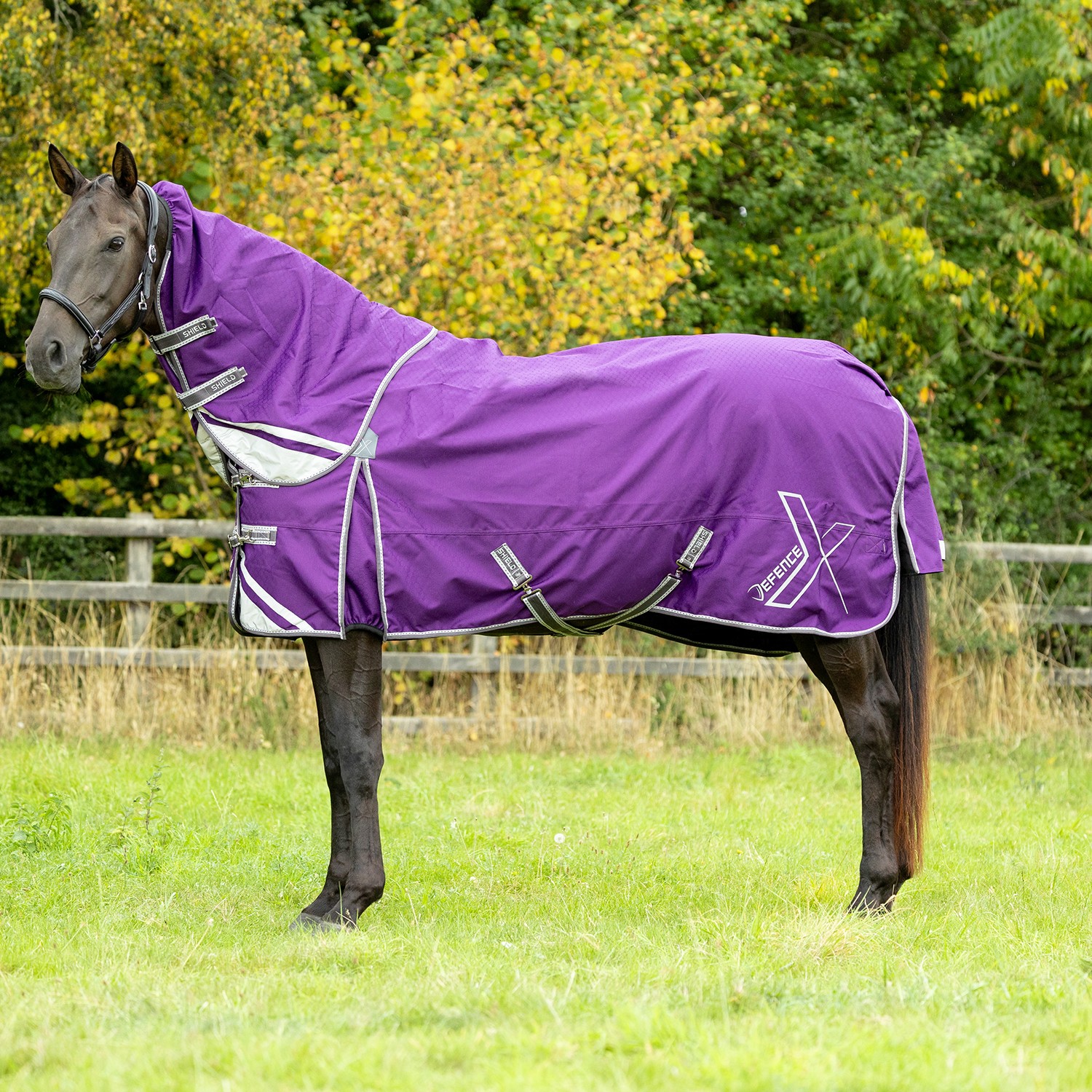 DefenceX Shield 0g Turnout Rug With Detachable Neck Purple Sizes 5'0 to 7'3
