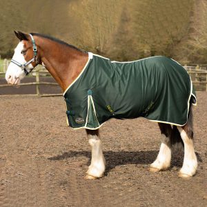 Gallop Summer Sheet Green Sizes 4'9 to 7'0