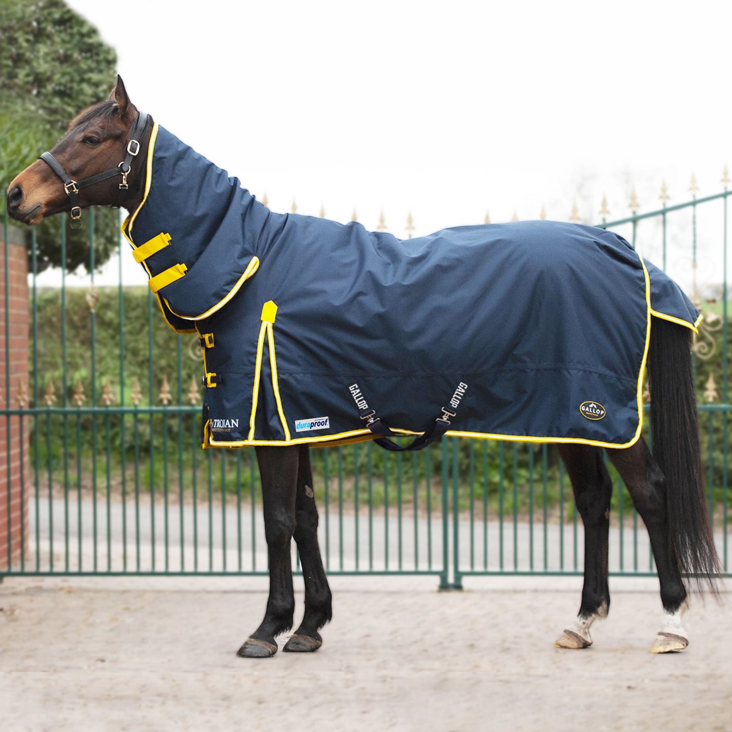 Gallop Trojan Duraproof 200g Combo Turnout Navy Sizes 5'6 to 7'0