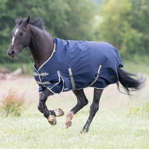 Gallop Trojan Duraproof 300g Turnout Navy Sizes 5'6 to 7'0