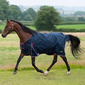 Gallop Trojan Duraproof 50g 5-point Turnout Navy Sizes 5'6 to 7'0