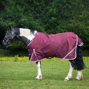 Gallop Trojan Xtra Duraproof 0g Lightweight Turnout Burgundy Sizes 5'6 to 7'0