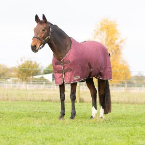 STORMX Empra Luxury Show Rug Burgundy/Cream Sizes 5'6 to 7'3