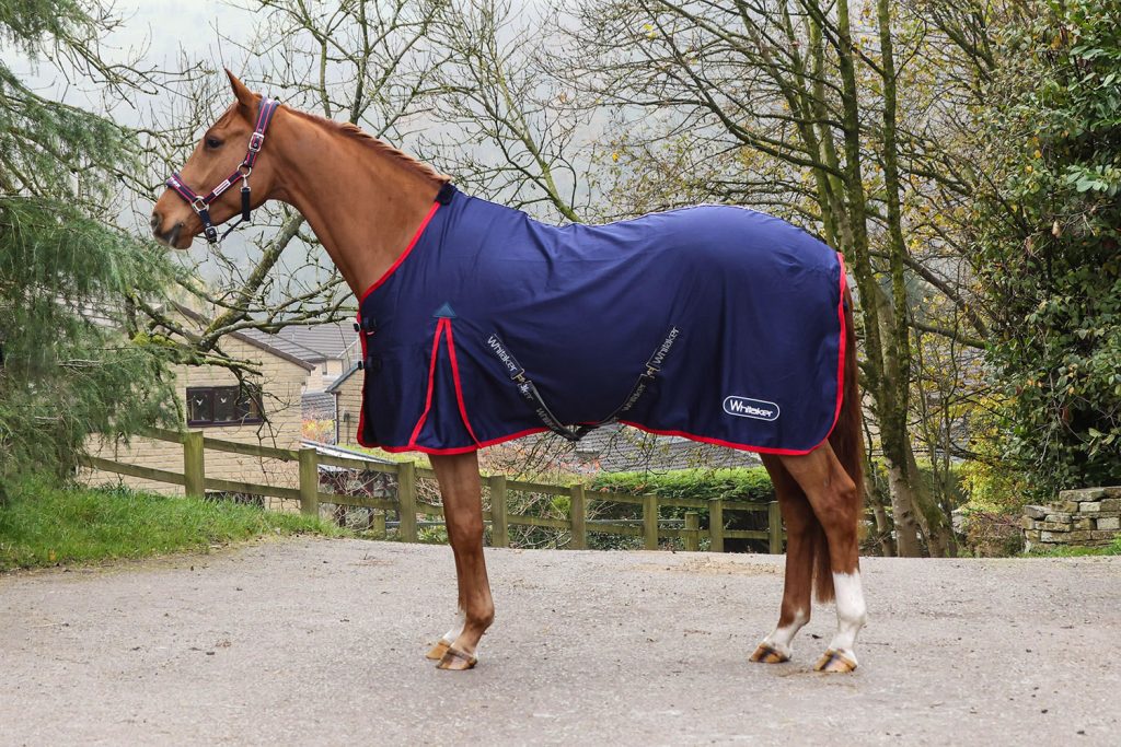 Whitaker R471 Rastrick V2 Stable Sheet Navy Sizes 4'9 to 7'0