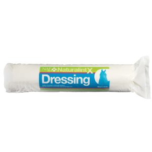 NAF NaturalintX Dressing - 500 Gm