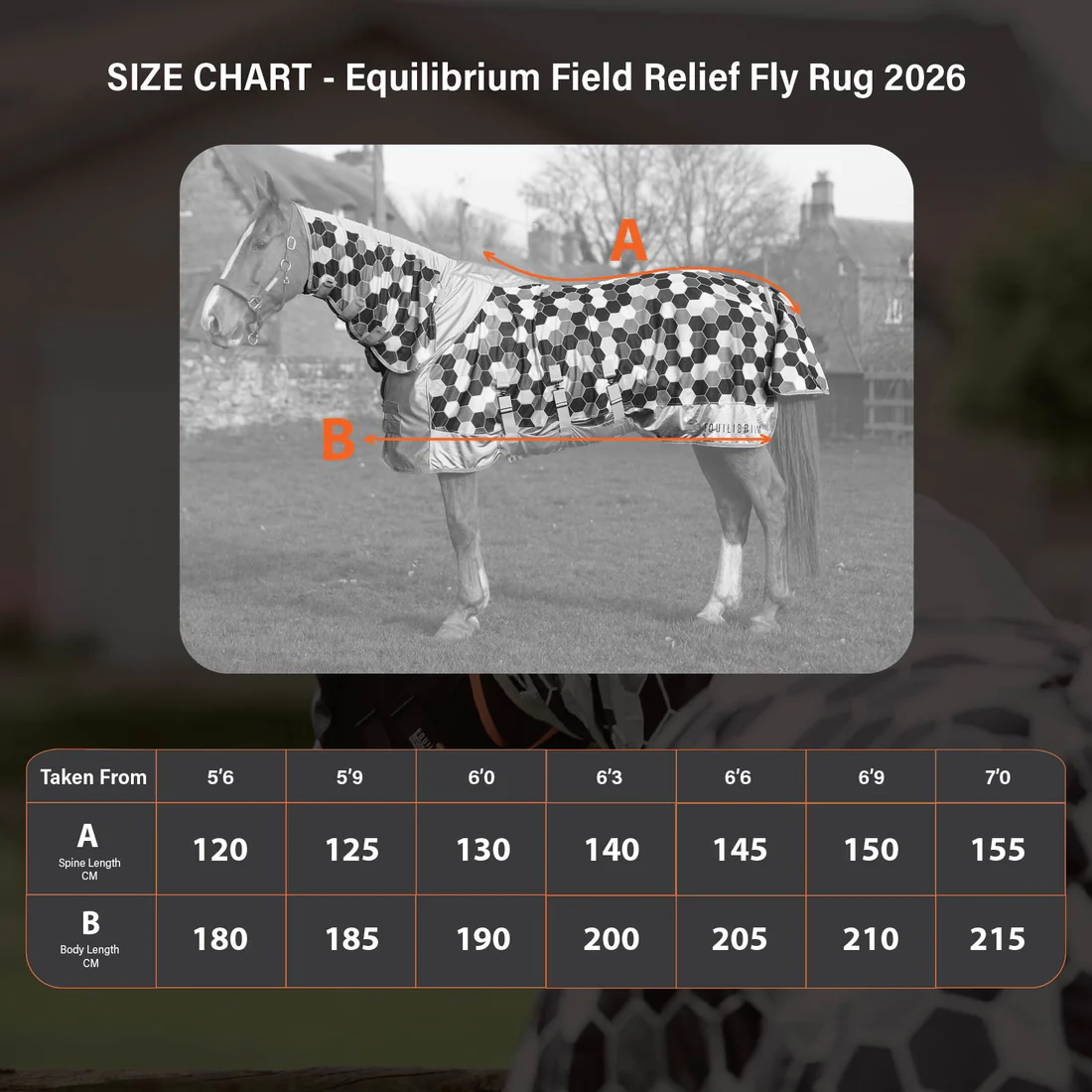 Equilibrium Field Relief Fly Rug Grey/White Sizes 5'6 to 7'0 - Image 6