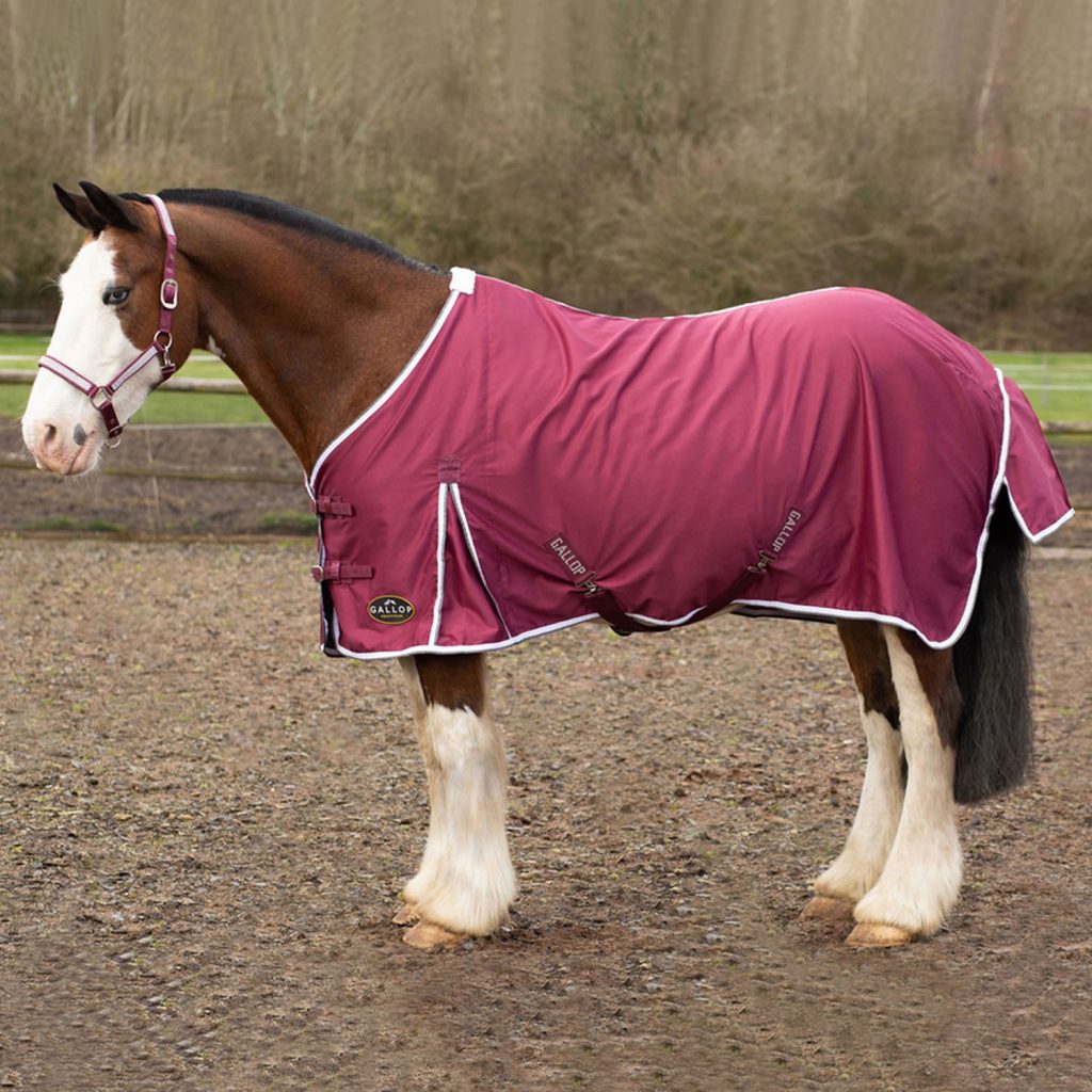 Gallop Summer Sheet Burgundy Sizes 4'9 to 7'0