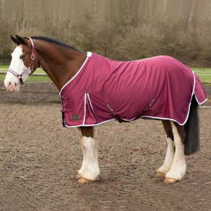 Gallop Summer Sheet Burgundy Sizes 4'9 to 7'0