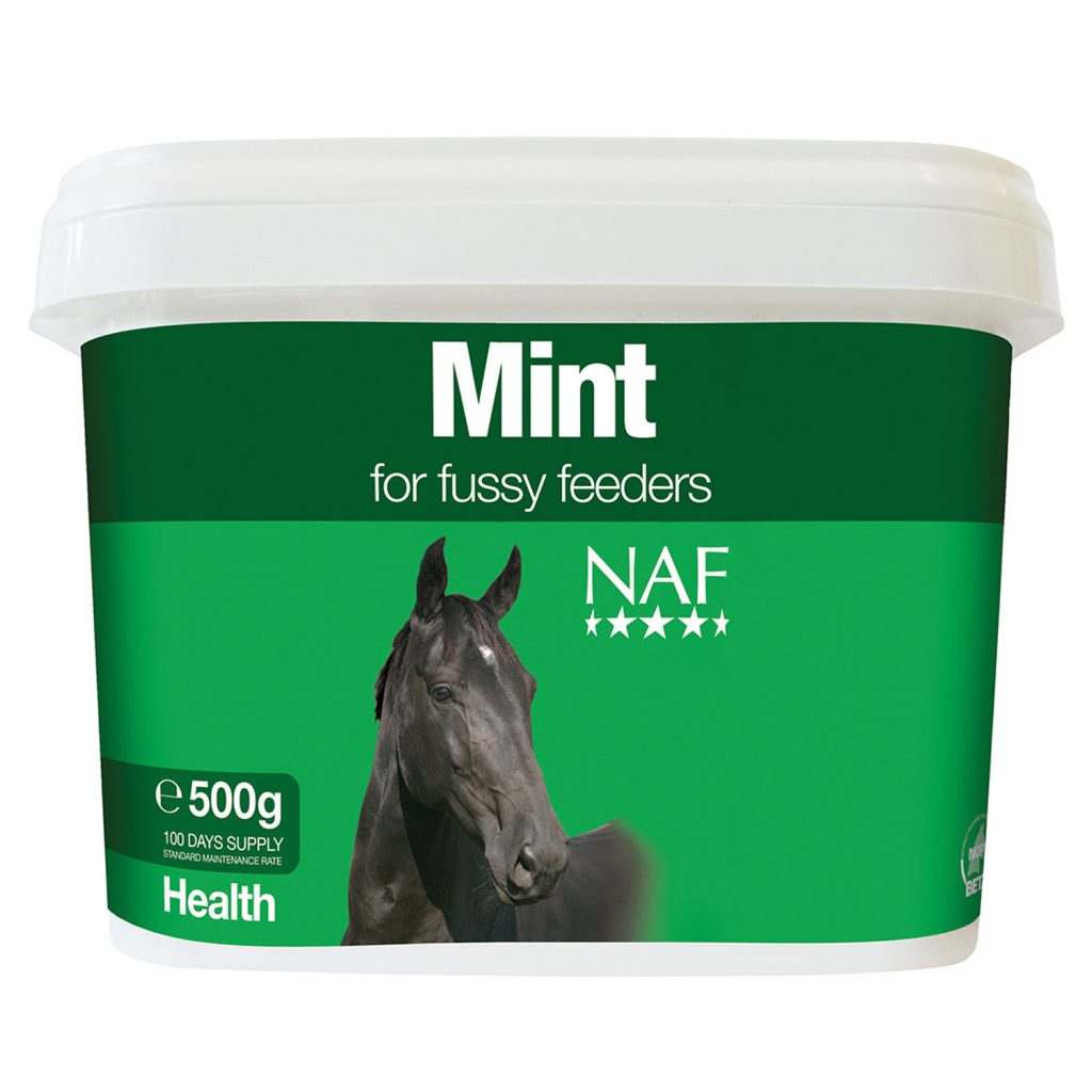 NAF Mint - 500g