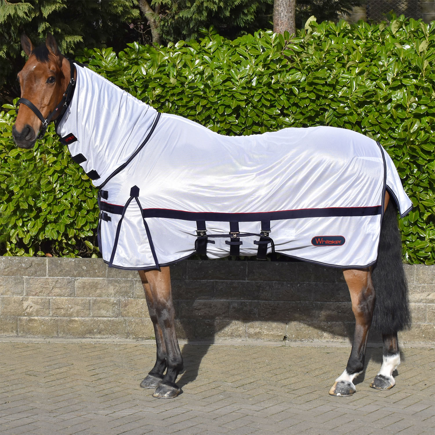 Whitaker R202 Rastrick Fly Mesh With Fixed Hood White Sizes 4'3 to 7'0