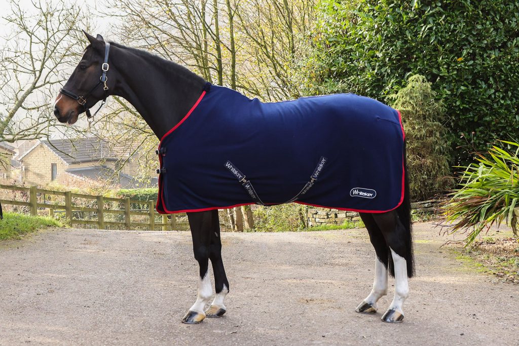 Whitaker R470 Rastrick V2 Fleece Rug Navy Sizes 4'9 to 7'0