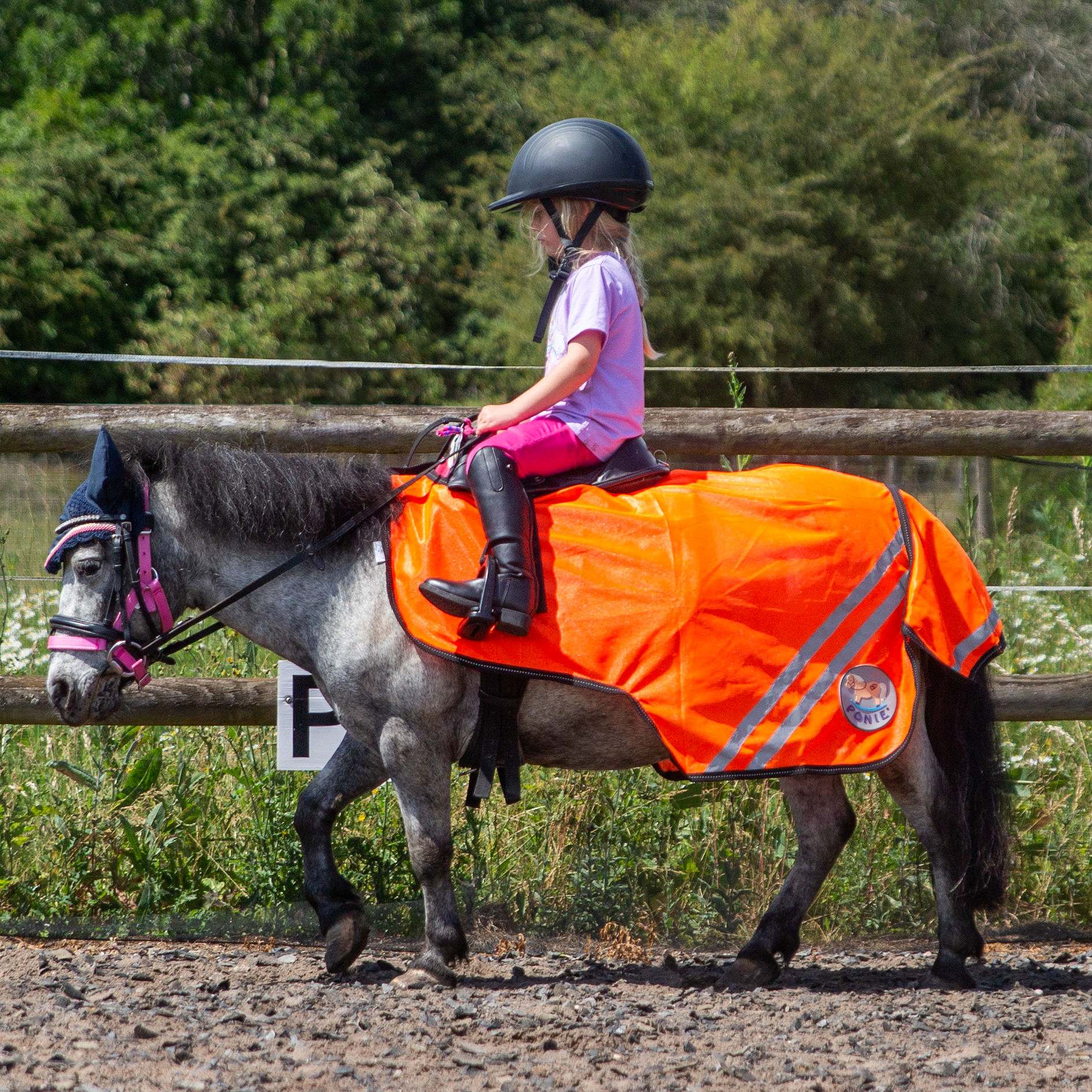 Gallop Retro Reflective Mesh Exercise Sheet Yellow or Orange size 3'9 to 7'3 - Image 2