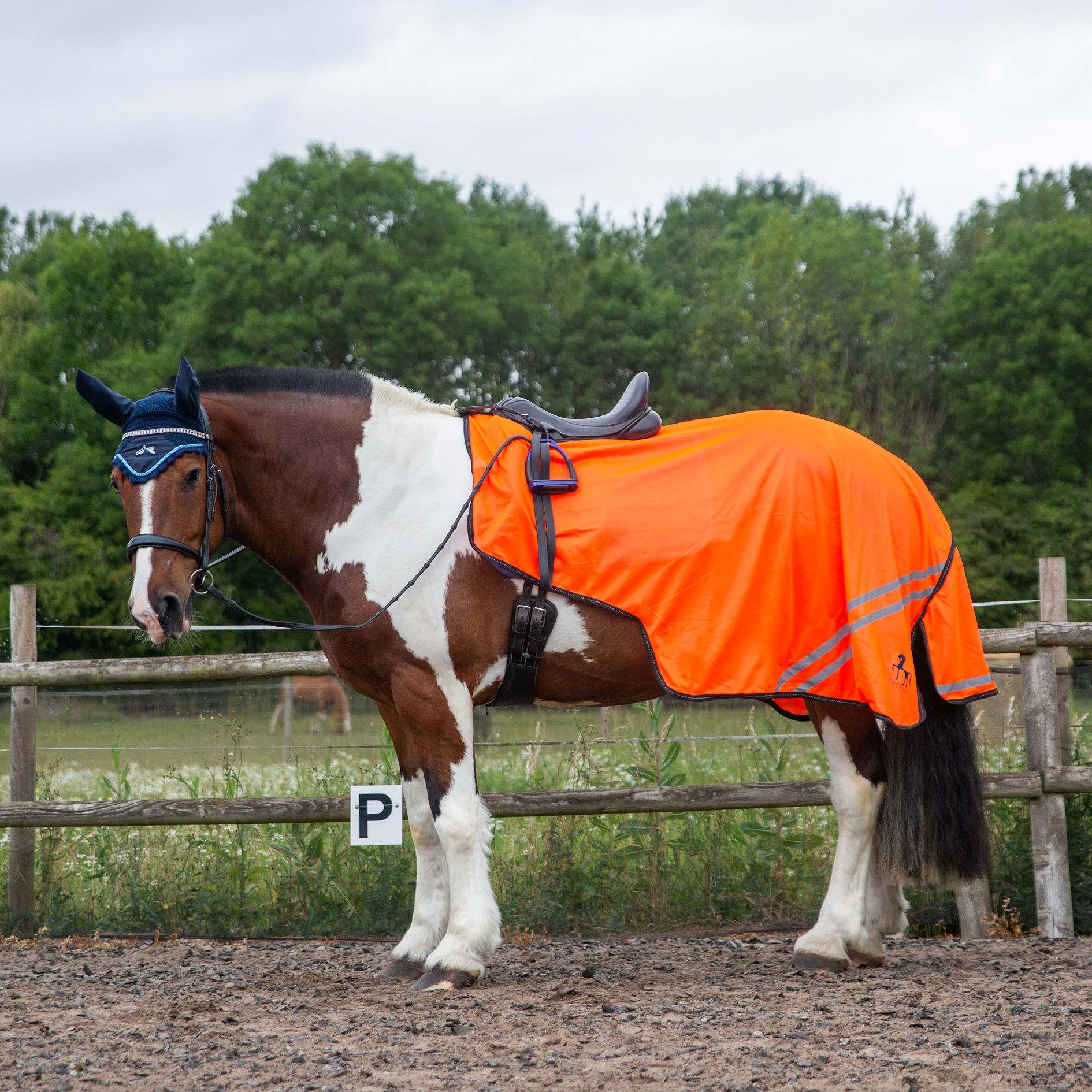 Gallop Retro Reflective Mesh Exercise Sheet Yellow or Orange size 3'9 to 7'3 - Image 4