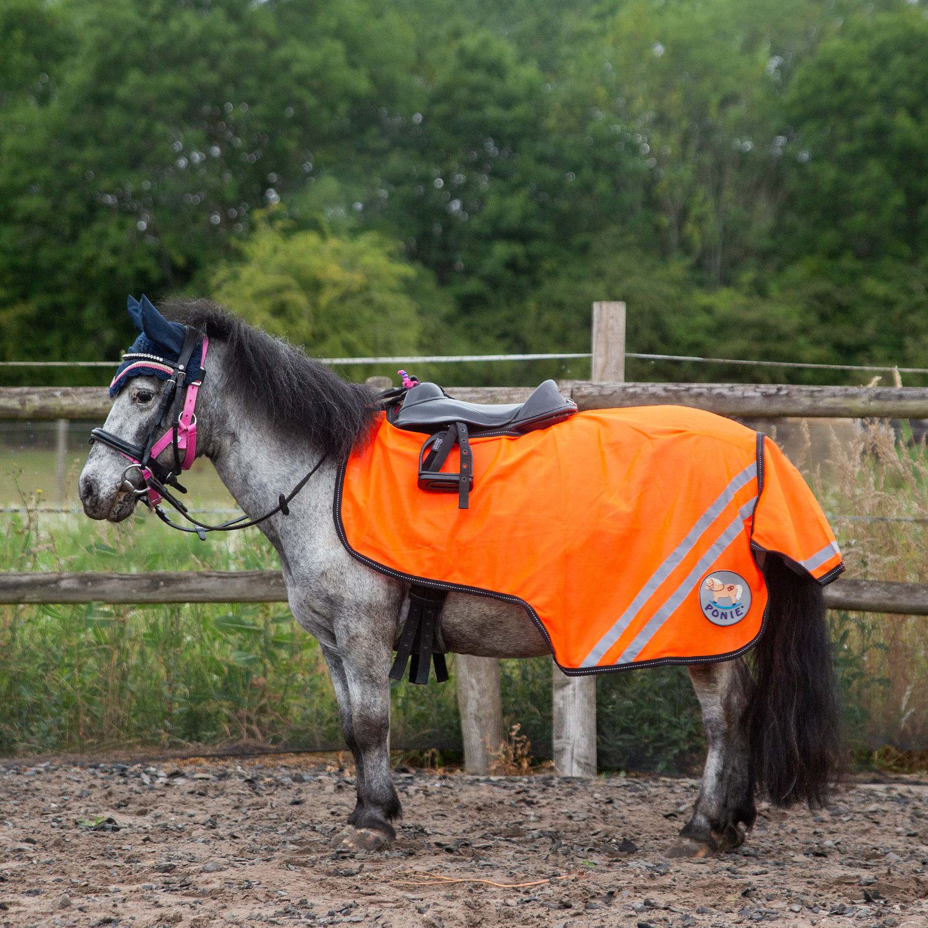 Gallop Retro Reflective Mesh Exercise Sheet Yellow or Orange size 3'9 to 7'3