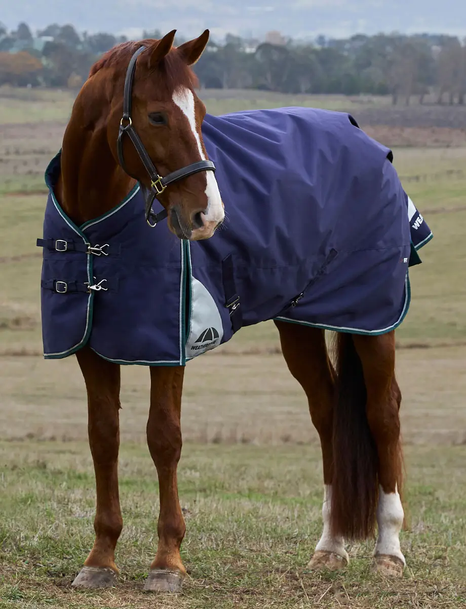 ComFiTec Plus Dynamic Standard Turnout 0G no fill 5'3 to 7'0 - Image 3
